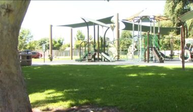 Fresno Arts Council looking for local artist to paint new mural at Tupman Park