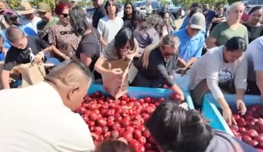 Reedley farmer's legal dispute continues after nectarine giveaway