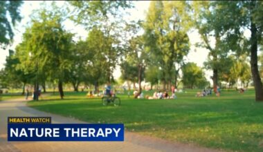 Initiative on UC Irvine campus for nature therapy