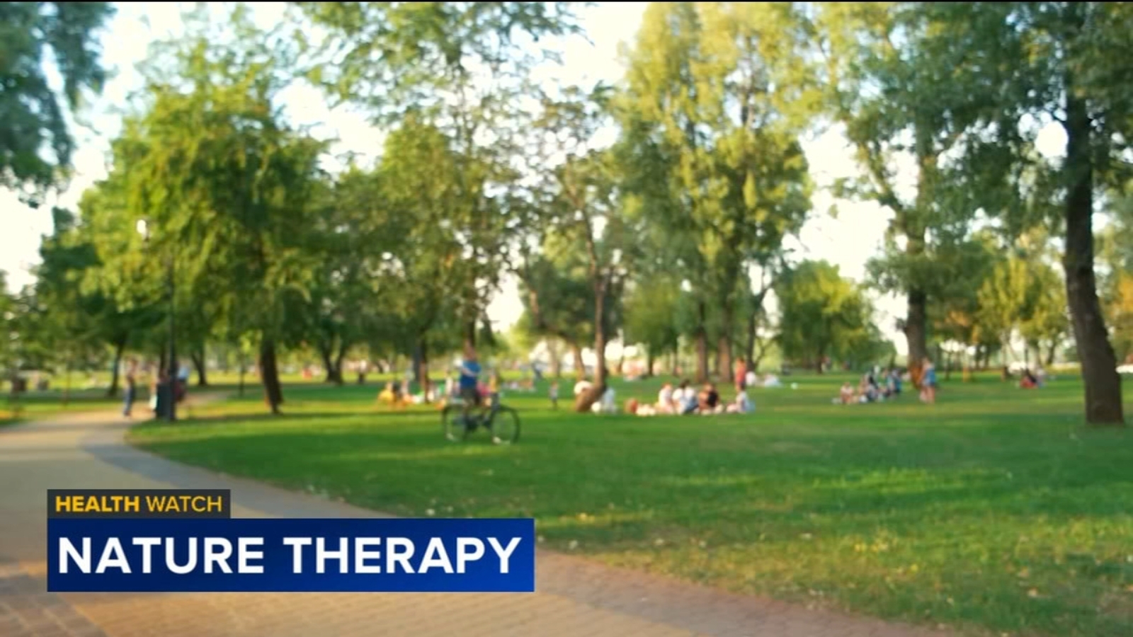 Initiative on UC Irvine campus for nature therapy