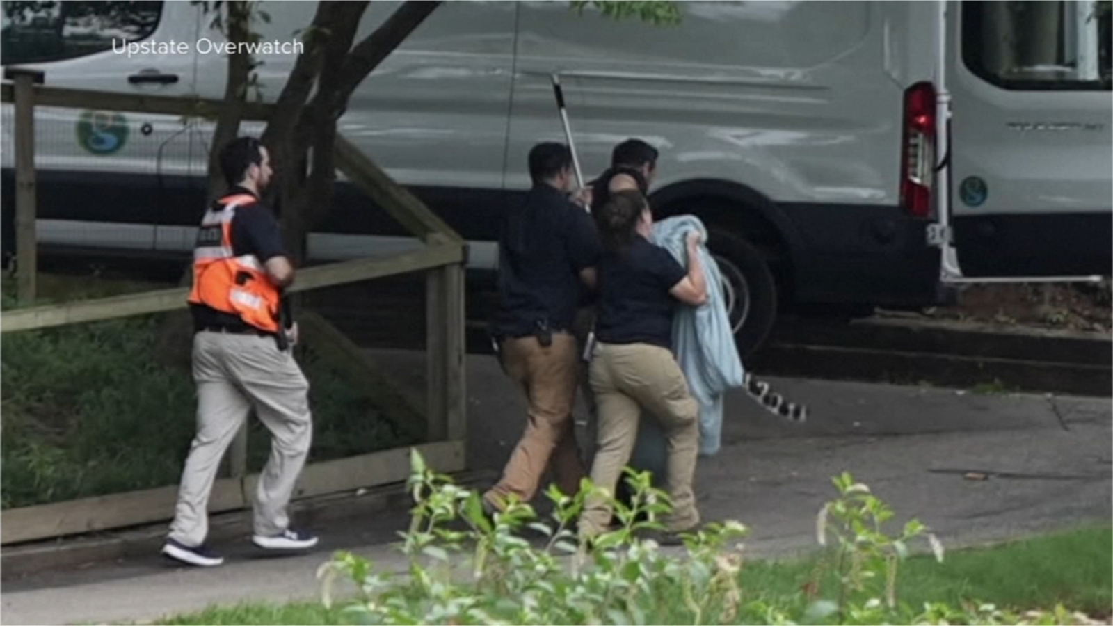 Leopard escapes enclosure, forces South Carolina zoo evacuation