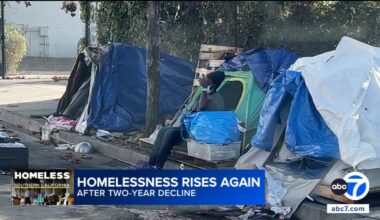 Homelessness in Los Angeles rises again after 2-year decline, audit report shows