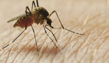 Fresno, Kings and Tulare Counties confirm human West Nile Virus cases