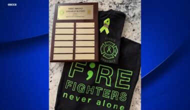 Local girl scout recognized for leading mental health initiative