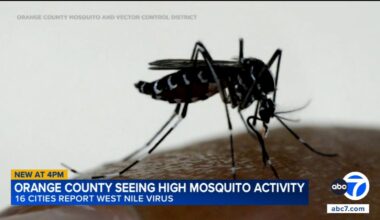Orange County officials warn of potentially worst West Nile virus season in county history