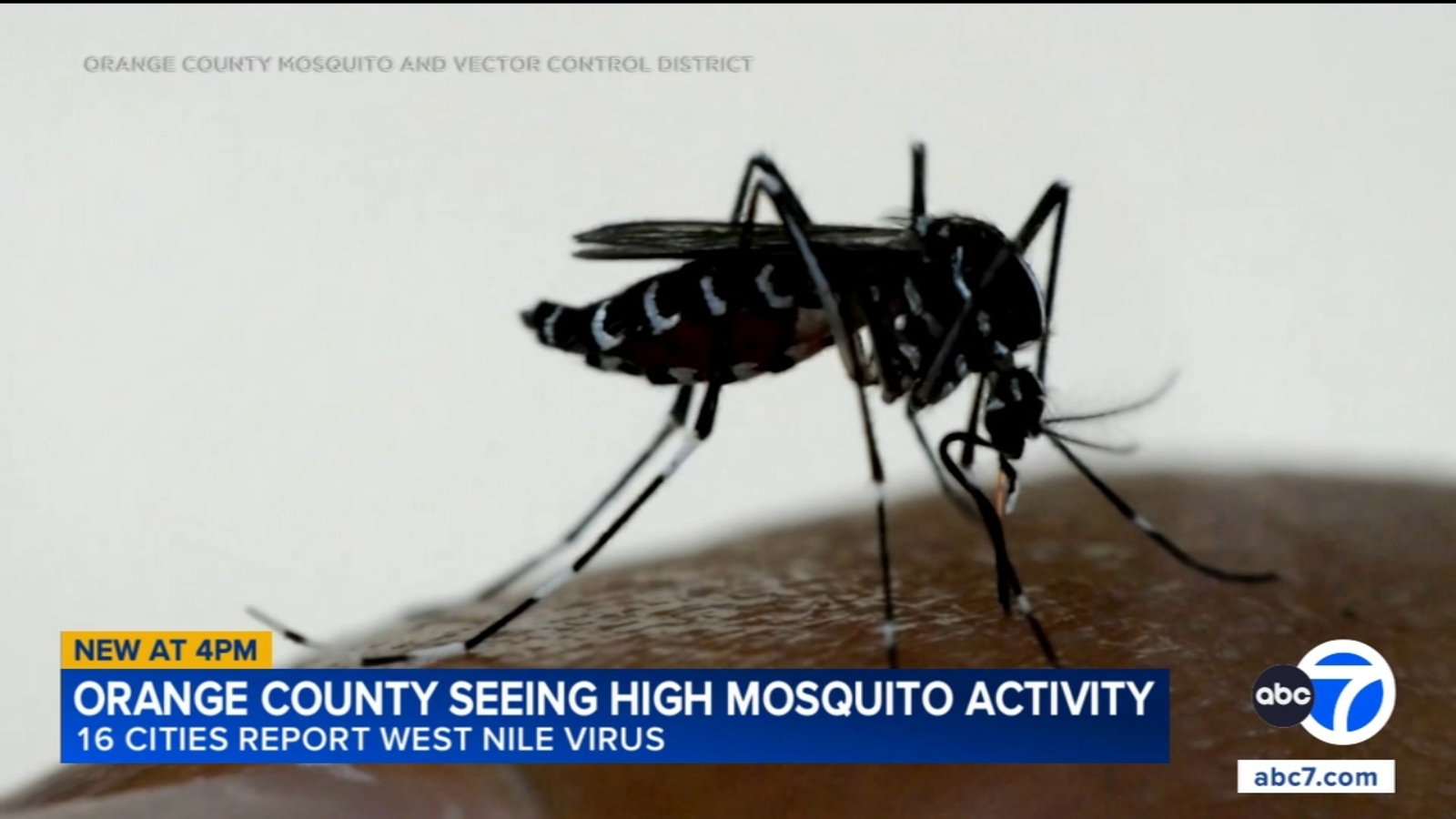 Orange County officials warn of potentially worst West Nile virus season in county history