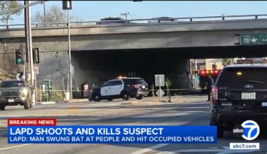 LAPD shooting: Man fatally shot by police after allegedly swinging bat in South LA