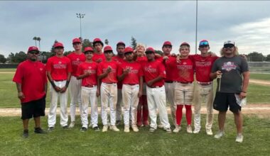 Four local youth baseball teams heading to World Series