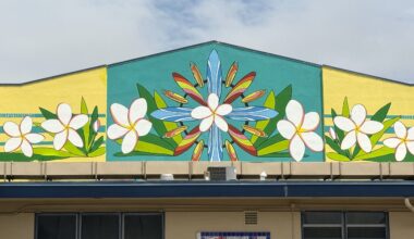 Community Surf Garden adds a fresh bloom to building