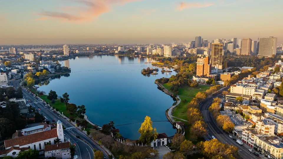 A couple has sued the city of Oakland, California, over a nearly $1 million fine they received for cutting down trees on their property (Getty Images)