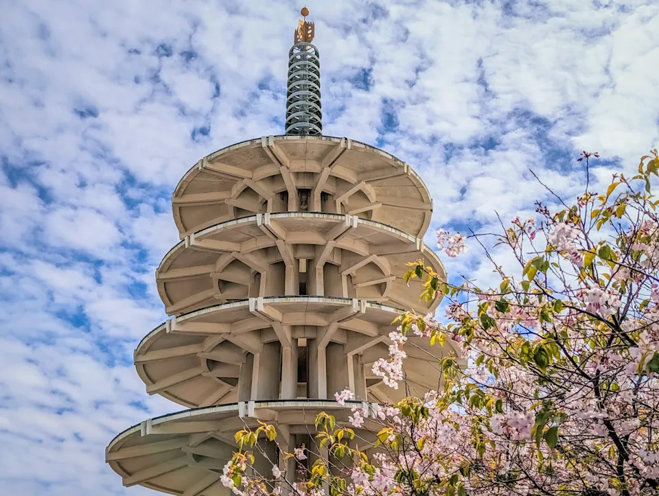 The pagoda in Japantown in San Francisco during cherry blossom season