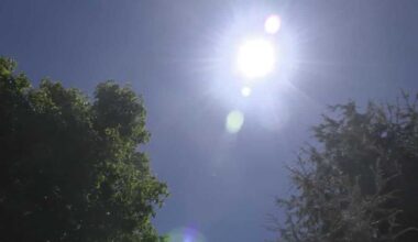 Sacramento focuses on cooling its hottest neighborhoods