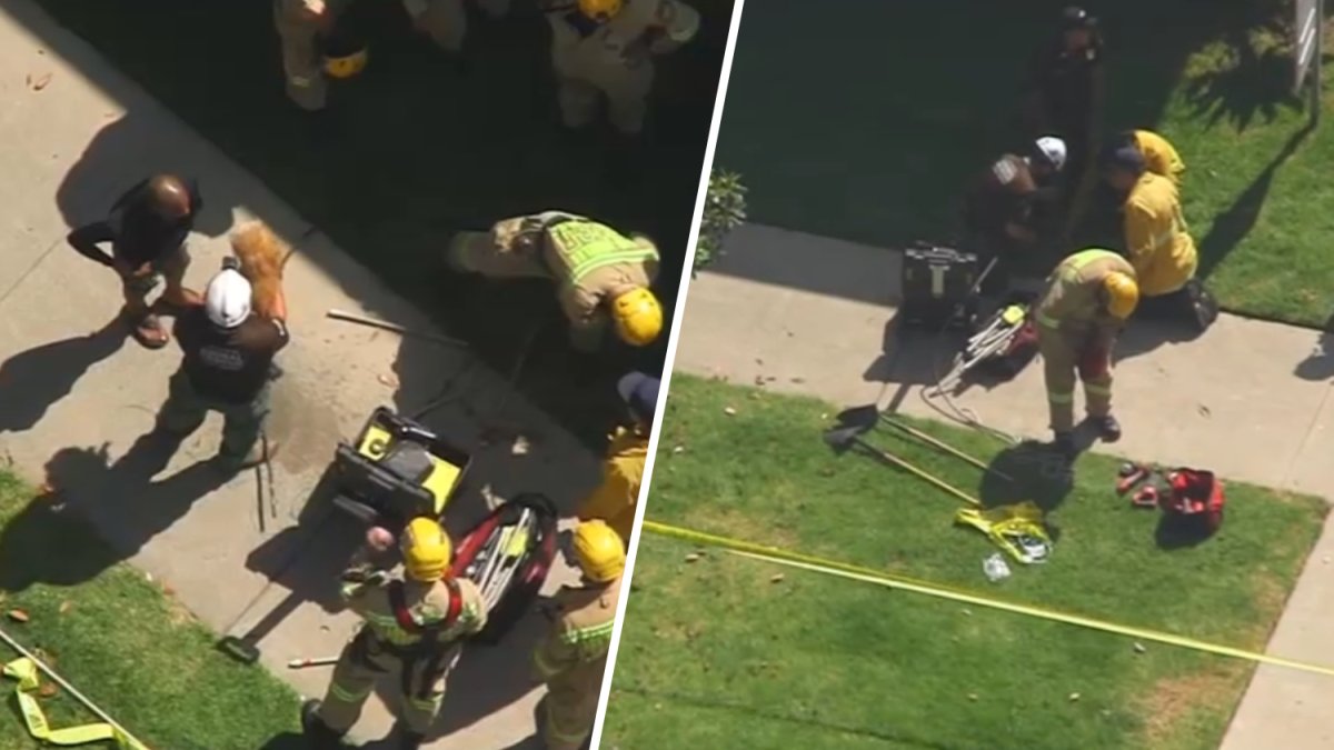 Firefighters rescue dog who fell into hole in Los Feliz – NBC Los Angeles