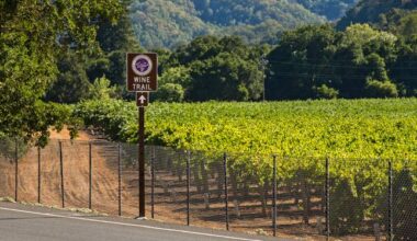 South Bay officials say go door-to-door for pest that threatens local wine