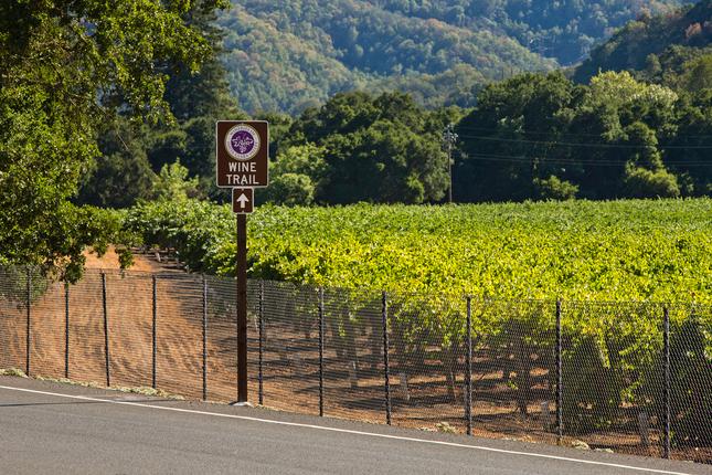 South Bay officials say go door-to-door for pest that threatens local wine