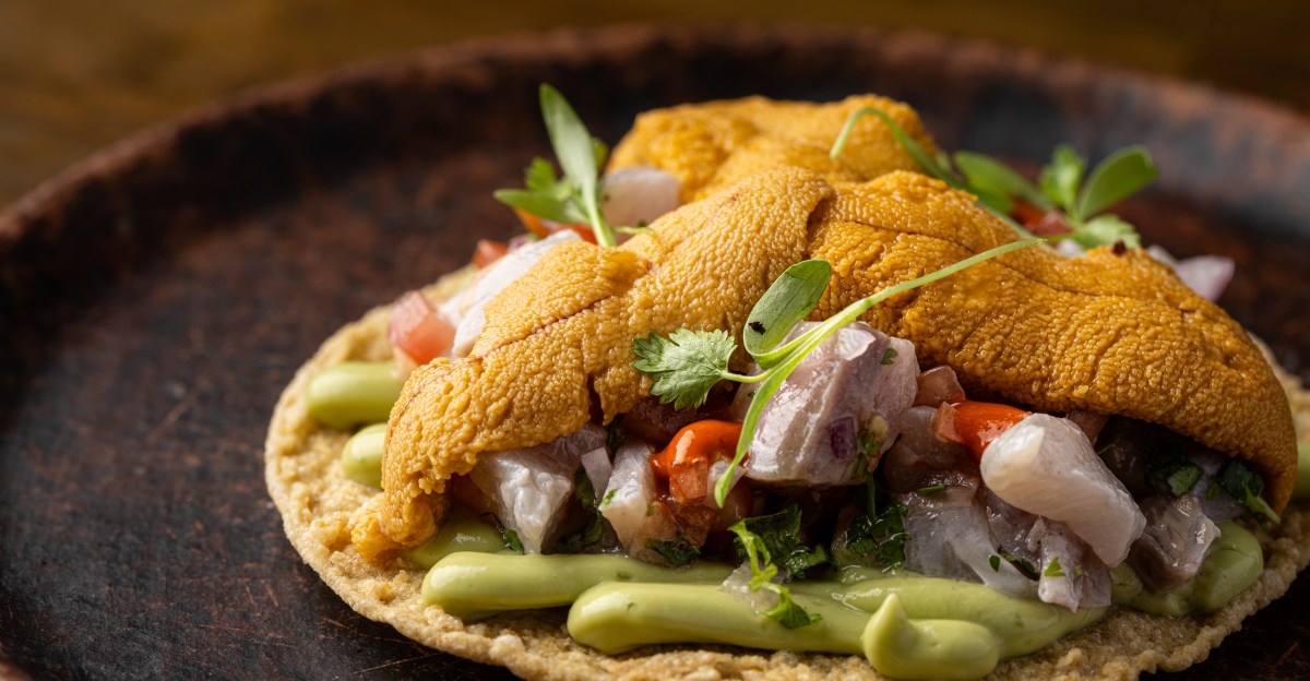 Holbox Review: Is the Michelin-Starred Seafood Stand Worth the Wait in Line?