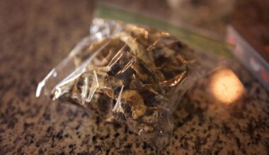 Oakland dad charged after 5-year-old ate chocolate loaded with psilocybin mushrooms