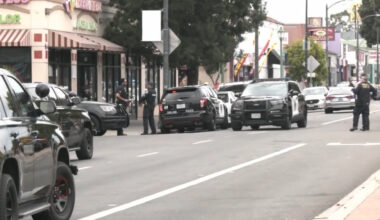 Armed suspect killed after lunging at police officers in Oakland, California