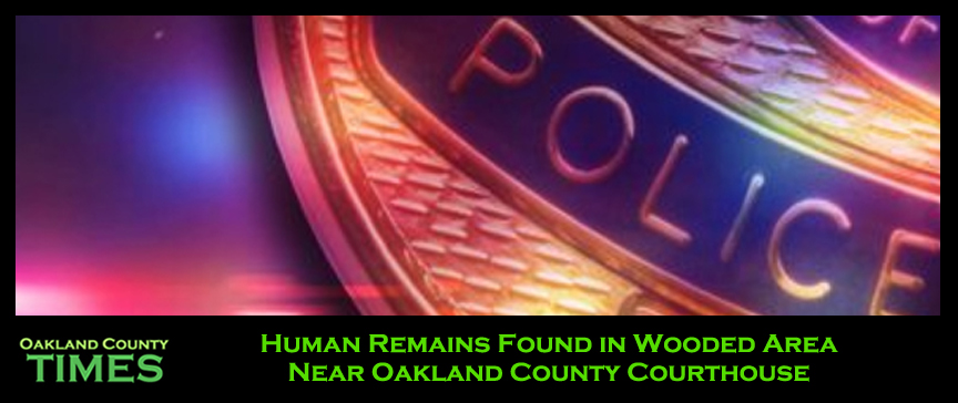 Human Remains Found in Wooded Area Near Oakland County Courthouse