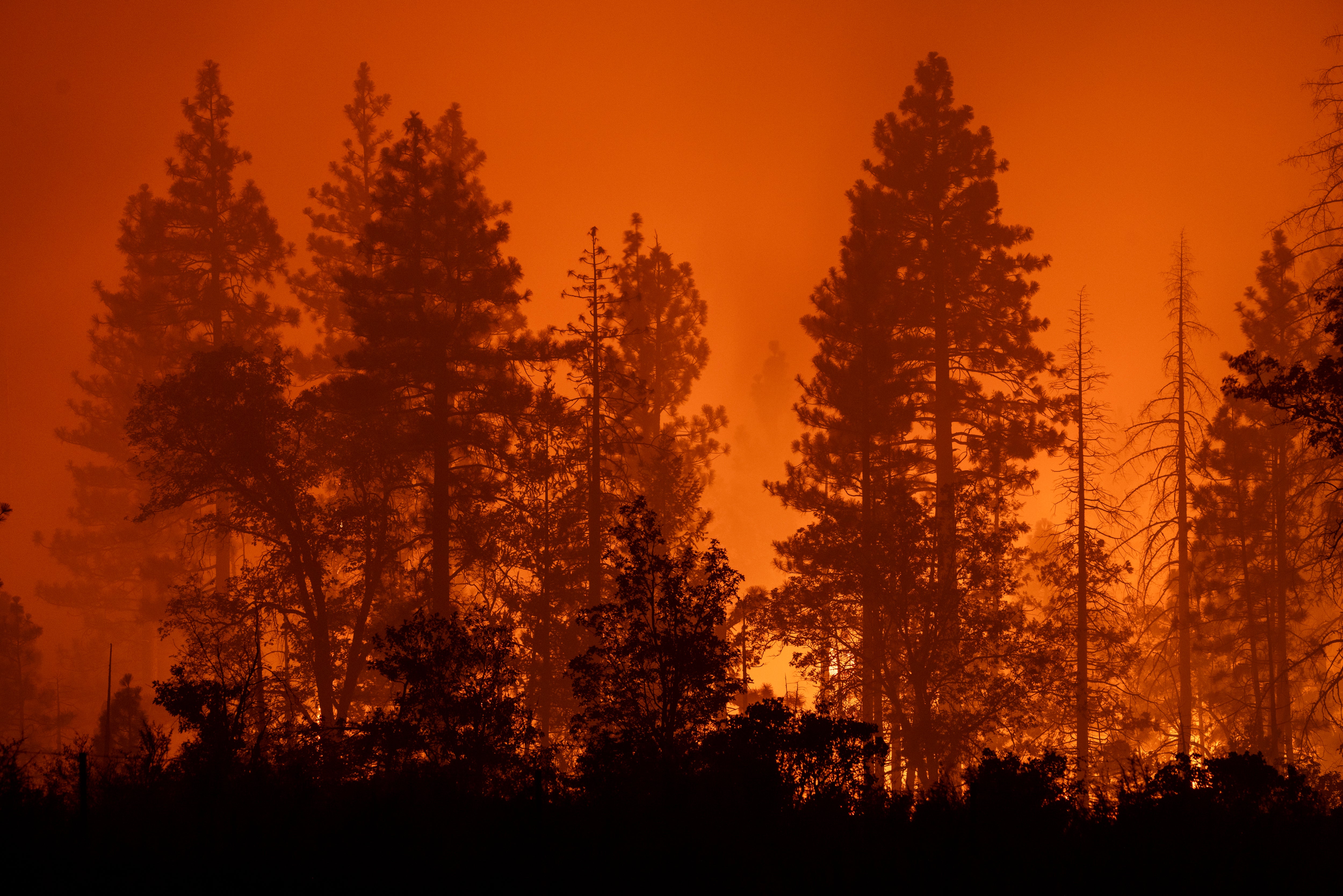 It took firefighters two months to fully contain the wildfire