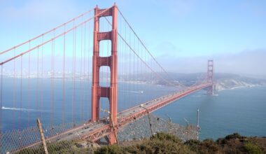 San Francisco Marathon Results 2026 for Men's and Women's Top Finishers