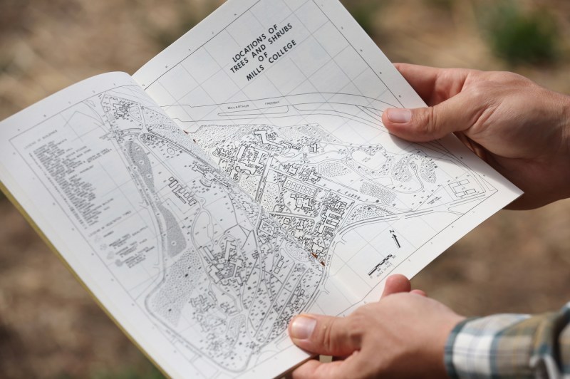 Hand holding a historical map showing tree and shrub locations at Northeastern University's Oakland Campus
