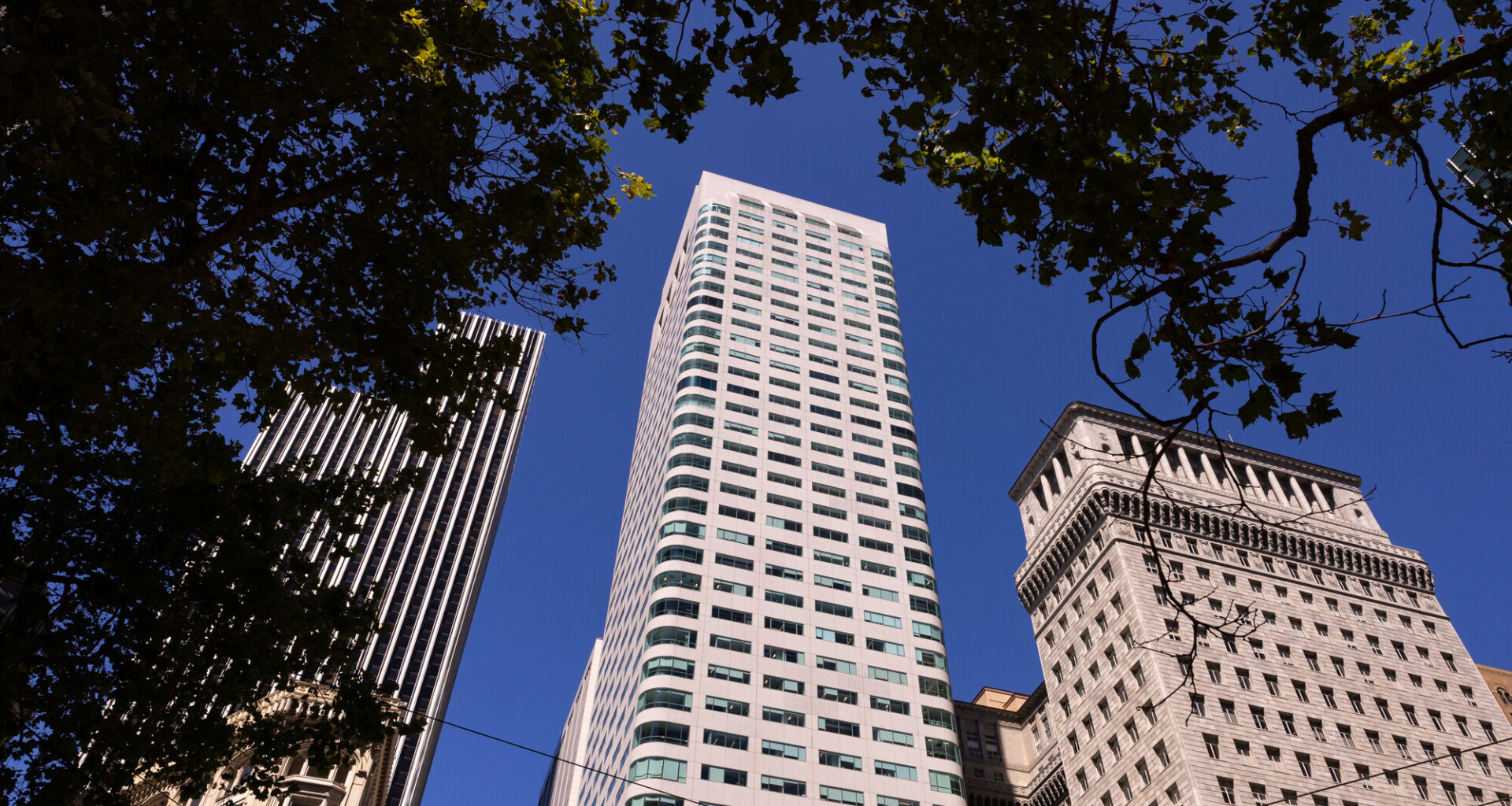 Staff of San Francisco-Based Wikipedia Demand Union Recognition, Raise Concerns Over AI