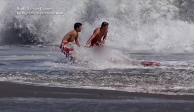 California lifeguard is hailed as a hero after rescuing a boy from pounding surf