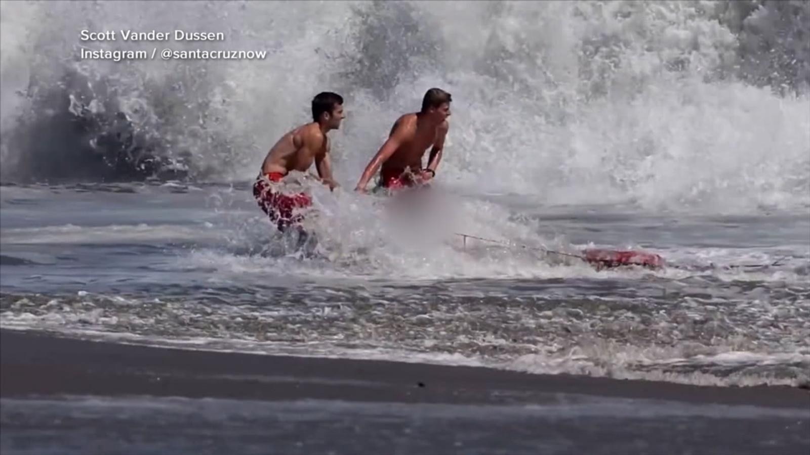 California lifeguard is hailed as a hero after rescuing a boy from pounding surf