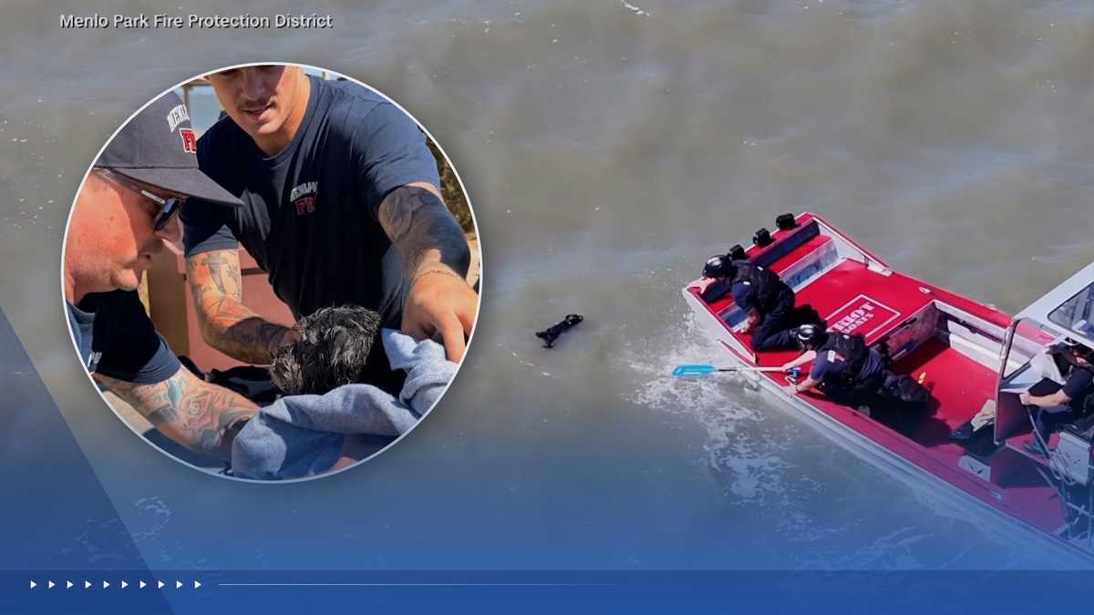 Video shows rescue of dog swimming alone in San Francisco Bay