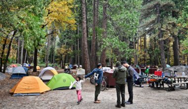 Best US national parks? Yosemite, Sequoia & Redwood ranked