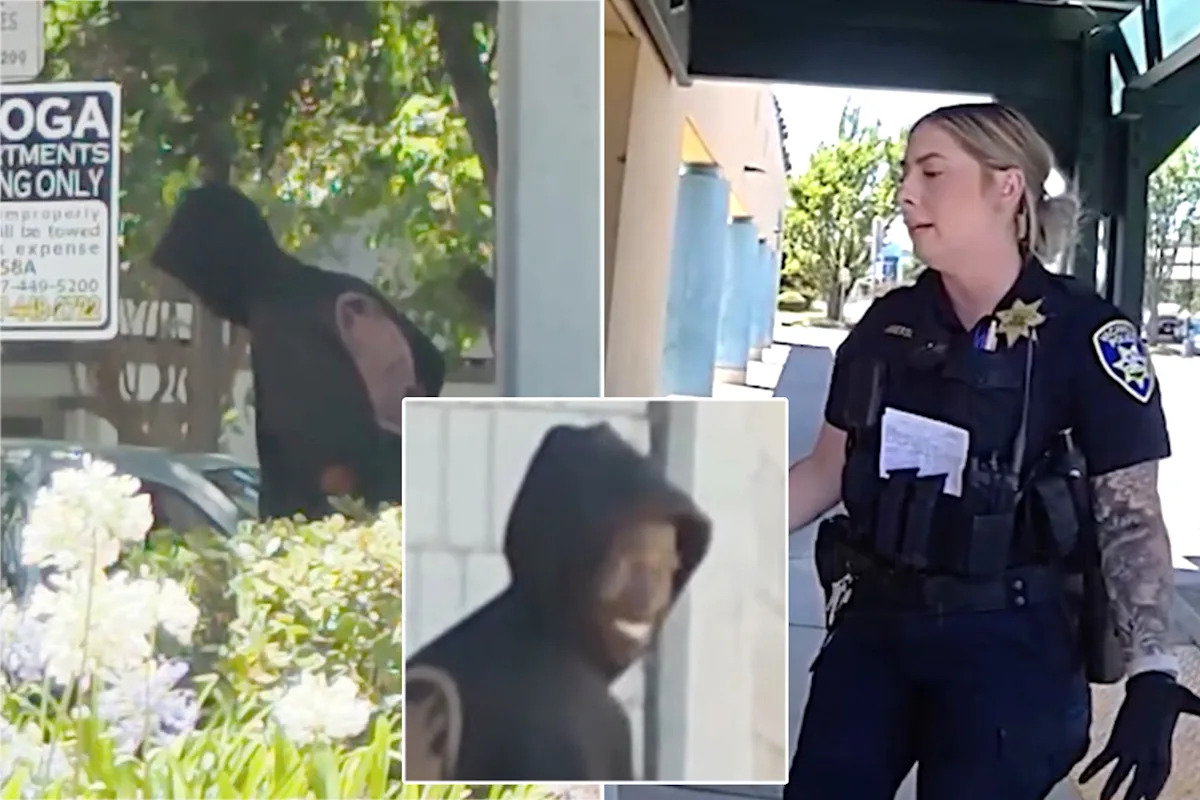 Smiling sicko caught on camera exposing himself to kids outside California library