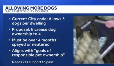 Sacramento leaders to vote on raising dog ownership limits
