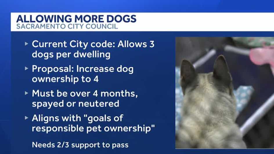Sacramento leaders to vote on raising dog ownership limits