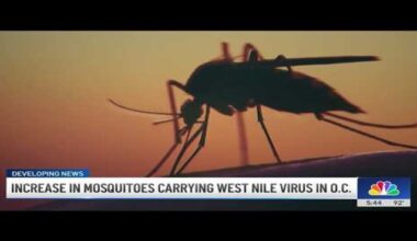 Orange County Seeing Unusually Aggressive Start to West Nile Virus Season