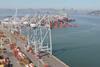 The Liebherr electric cranes on the quayside at TraPac