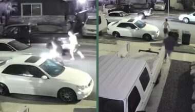 California Catalytic Converter Thief Gets More Than He Bargained for After Neighbors Rush Outside With a Bat