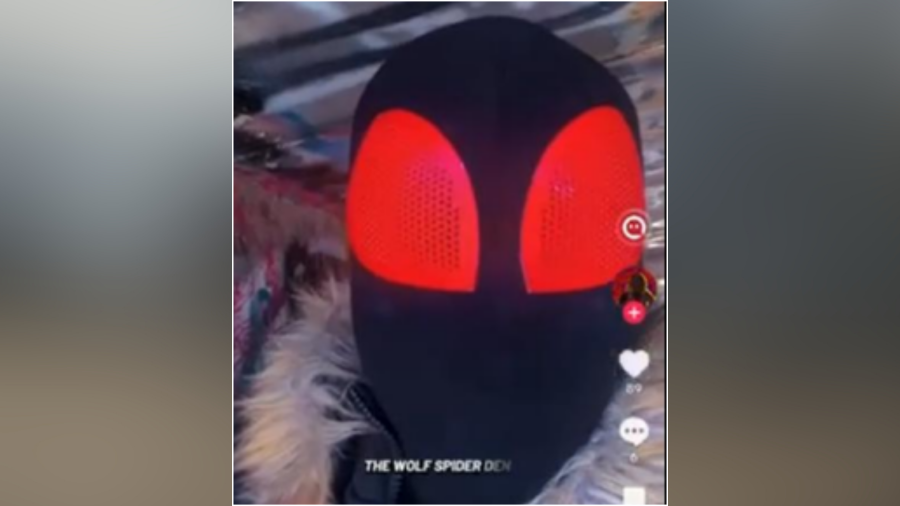 Costume-wearing Elk Grove TikToker tied to federal terror plot, arrested for Sacramento threats