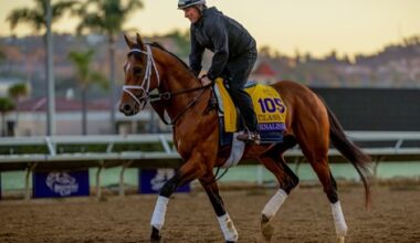 San Diego Showdown Pits Journalism and Full Serrano
