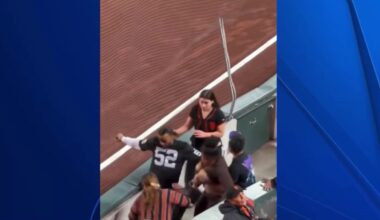 Fight during San Francisco Giants’ game ends in arrests – NBC Bay Area
