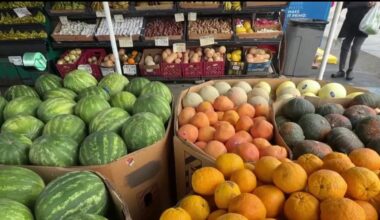 Foodborne intestinal illness, cycloporiasis, outbreak, reaches California – NBC 7 San Diego