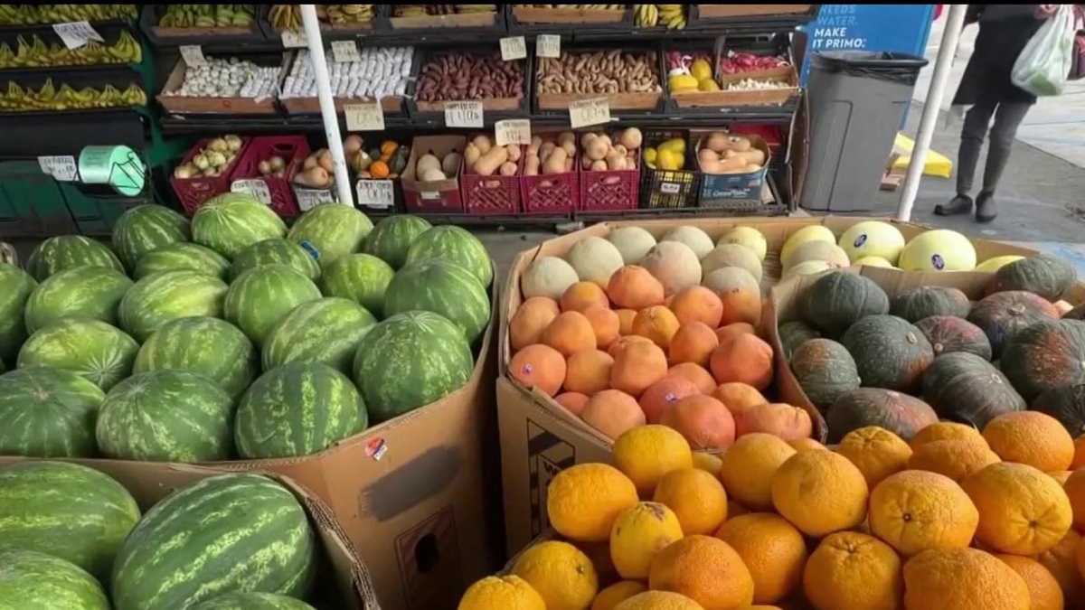 Foodborne intestinal illness, cycloporiasis, outbreak, reaches California – NBC 7 San Diego