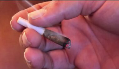 San Francisco supervisors approve plans of cannabis cafes – NBC Bay Area