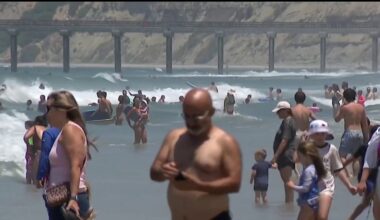 Warm ocean water draws beach crowds as scientists track rising sea-surface temperatures – NBC 7 San Diego