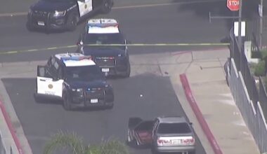 San Diego police shoot person in suspected stolen car in San Ysidro – NBC 7 San Diego