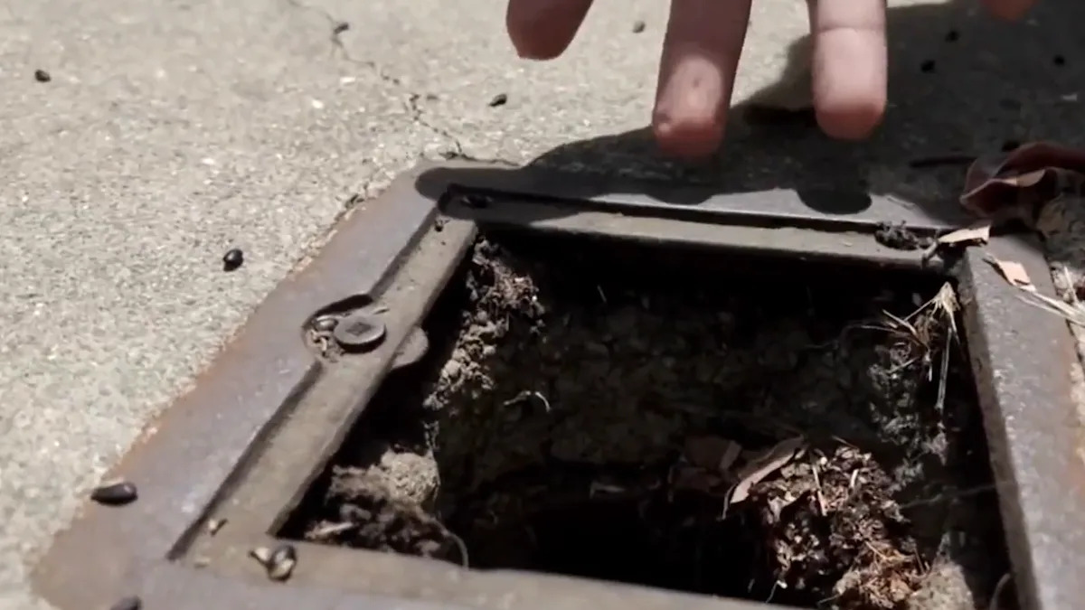 San Francisco Neighborhood Baffled By Mystery Man Stealing Sewer Grates In The Middle Of The Night
