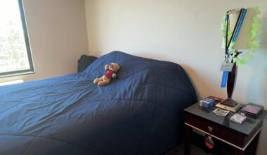 Placer County homeless count drops nearly 10% as supportive housing expands