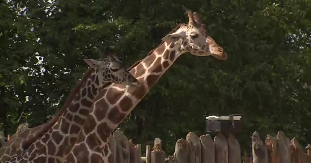 Sacramento Zoo seeks public input on revised Land Park expansion plan