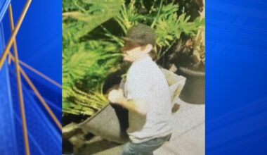 Police seek man who allegedly stole barbecue grills, potted plants from SW Bakersfield church