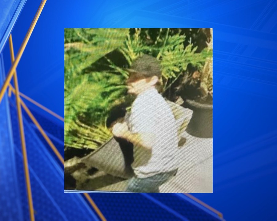 Police seek man who allegedly stole barbecue grills, potted plants from SW Bakersfield church